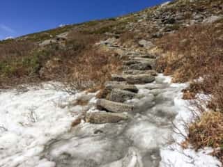 月山登山道