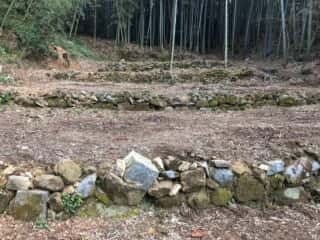 竹ヶ島 七段の聖地