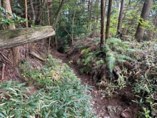 四国八十八ヶ所霊場 第60番札所 横峰寺〜第61番札所 香園寺奥の院