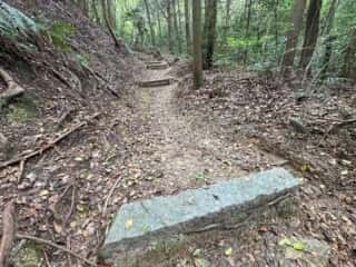 四国八十八ヶ所霊場 第58番札所 仙遊寺〜第59番札所 国分寺