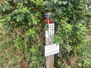 弁慶の足跡とキネツカ台場跡　かもめ島　鷗島