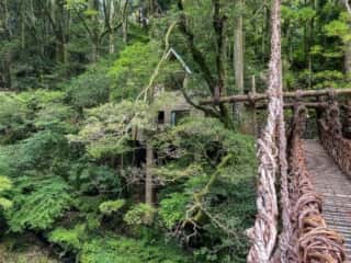 祖谷のかずら橋　橋上の景観
