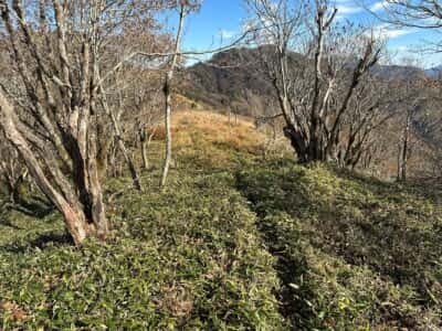 寒峰・烏帽子山