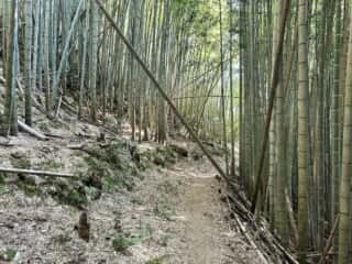 四国八十八ヶ所霊場 第21番札所 太龍寺〜第22番札所 平等寺