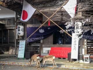 黄金山神社　休息所
