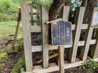 雨乞石　七種木（なないろぎ）