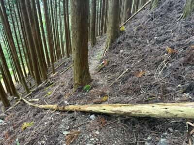 石立山