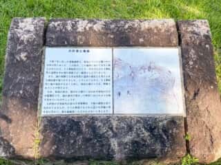 大覚寺　大沢池と菊島