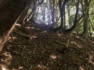 天宮さん（御内谷）への山道