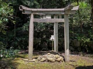 木嶋神社 (蚕の社)　三柱鳥居