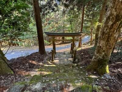 八幡神社（那賀町岩倉）