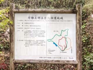 石上布都魂神社　自然保護地域