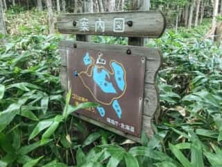 知床五湖 地上遊歩道