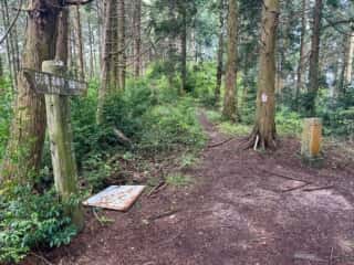四国八十八ヶ所霊場 第60番札所 横峰寺〜第61番札所 香園寺奥の院