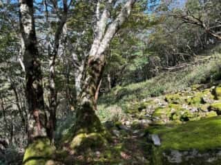 矢筈山・石堂山