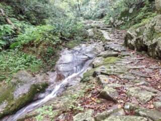 船通山登山道を流れる斐伊川