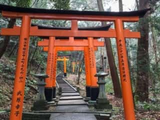 伏見稲荷大社　千本鳥居