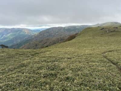 土佐矢筈山・小桧曽山