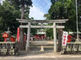 大汝牟遅神社　鳥居