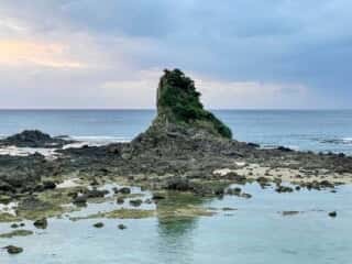 徳之島の景色