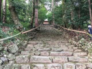 真名井神社　参道