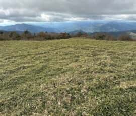 土佐矢筈山
