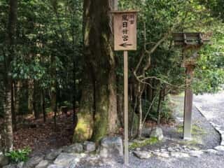 伊勢神宮別宮　風日折宮への参道