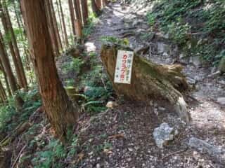 山上ヶ岳（大峯山）登山道