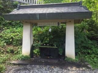 戸隠神社　手水舎