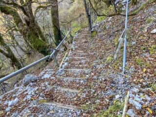 剣山 登山道