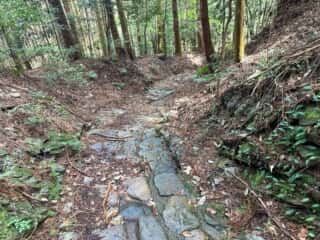 四国八十八ヶ所霊場 第60番札所 横峰寺〜第61番札所 香園寺奥の院
