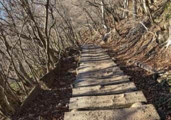 駒ケ岳 登山道