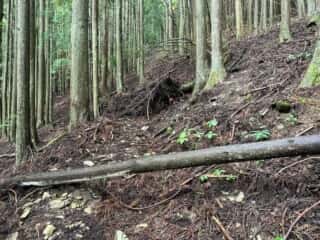 中津山