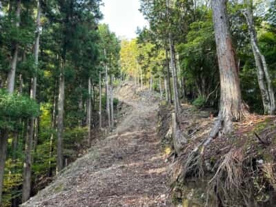 正善山