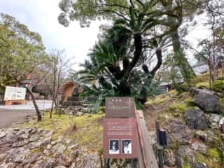 四国八十八ヶ所霊場 第31番札所 竹林寺