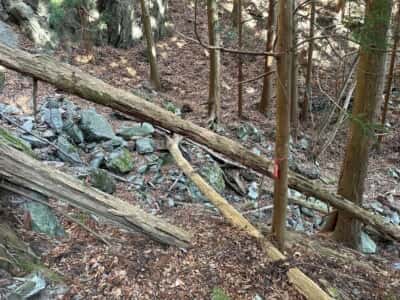 黒笠山