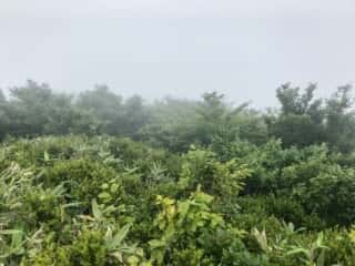 恐山 (大尽山) 登山道