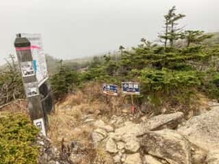 早池峰山 登山道