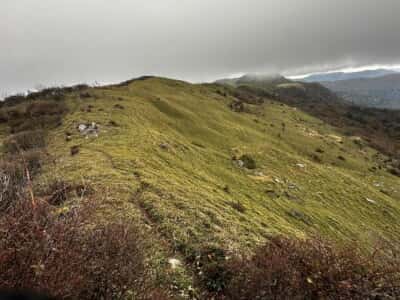 土佐矢筈山・小桧曽山