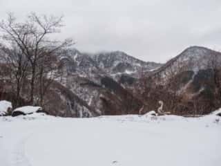剣山スーパー林道