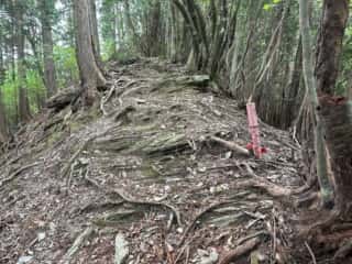 友内山