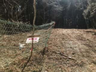 石投山 黒森山 登山道