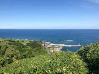 礼文岳登山道からの展望