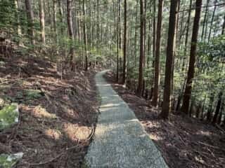天岩戸立岩神社