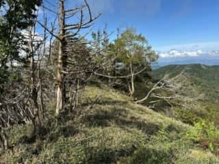 矢筈山・石堂山