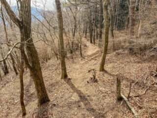 石投山 黒森山 登山道