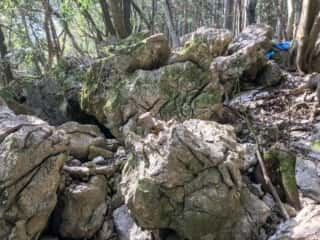 若杉山遺跡 発掘調査現場周辺の巨石群