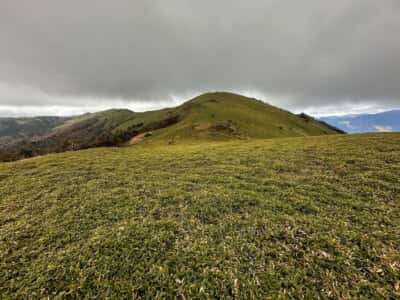 土佐矢筈山・小桧曽山