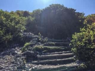 大山登山道