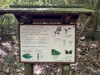 四国八十八ヶ所霊場 第81番札所 白峯寺〜第82番札所 根香寺